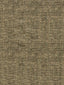 Scalamandre Melody Golden Gray Fabric