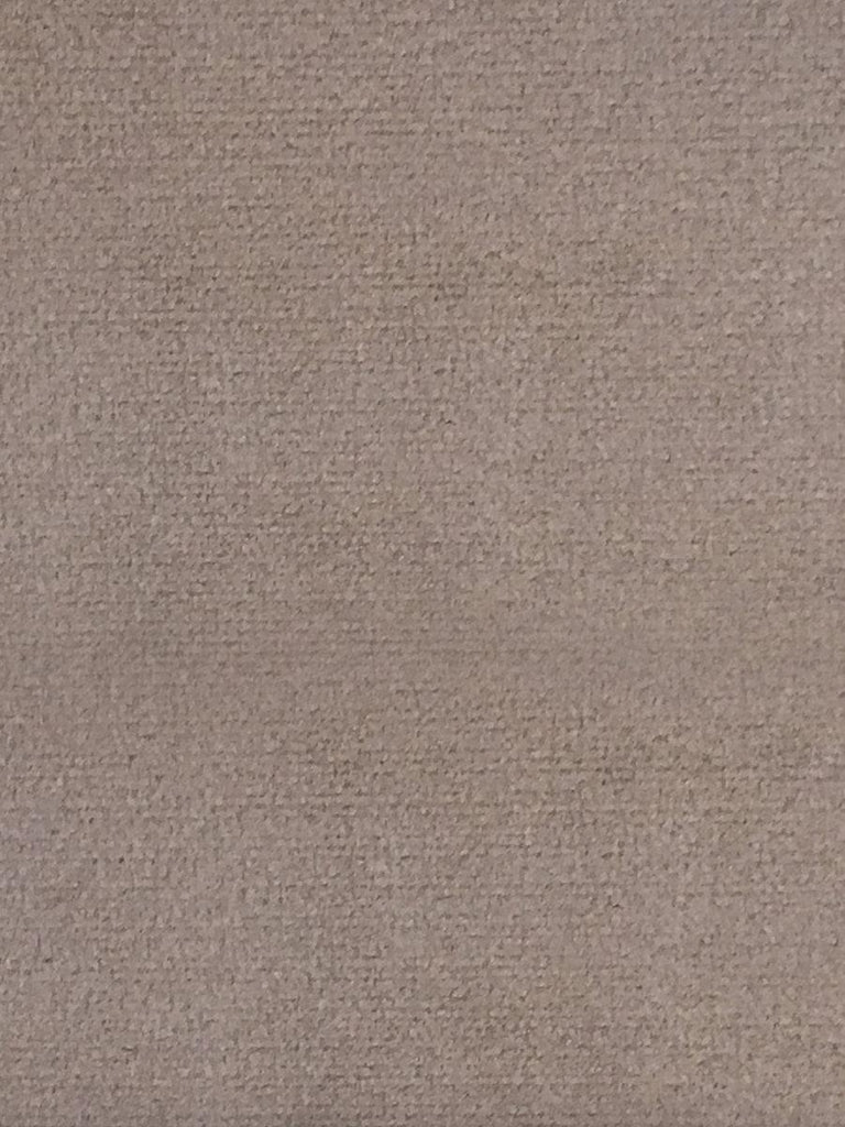 Aldeco Sucesso - Wide Width Velvet Taupe Fabric