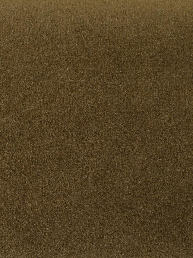 Scalamandre Safety Velvet Bison Fabric