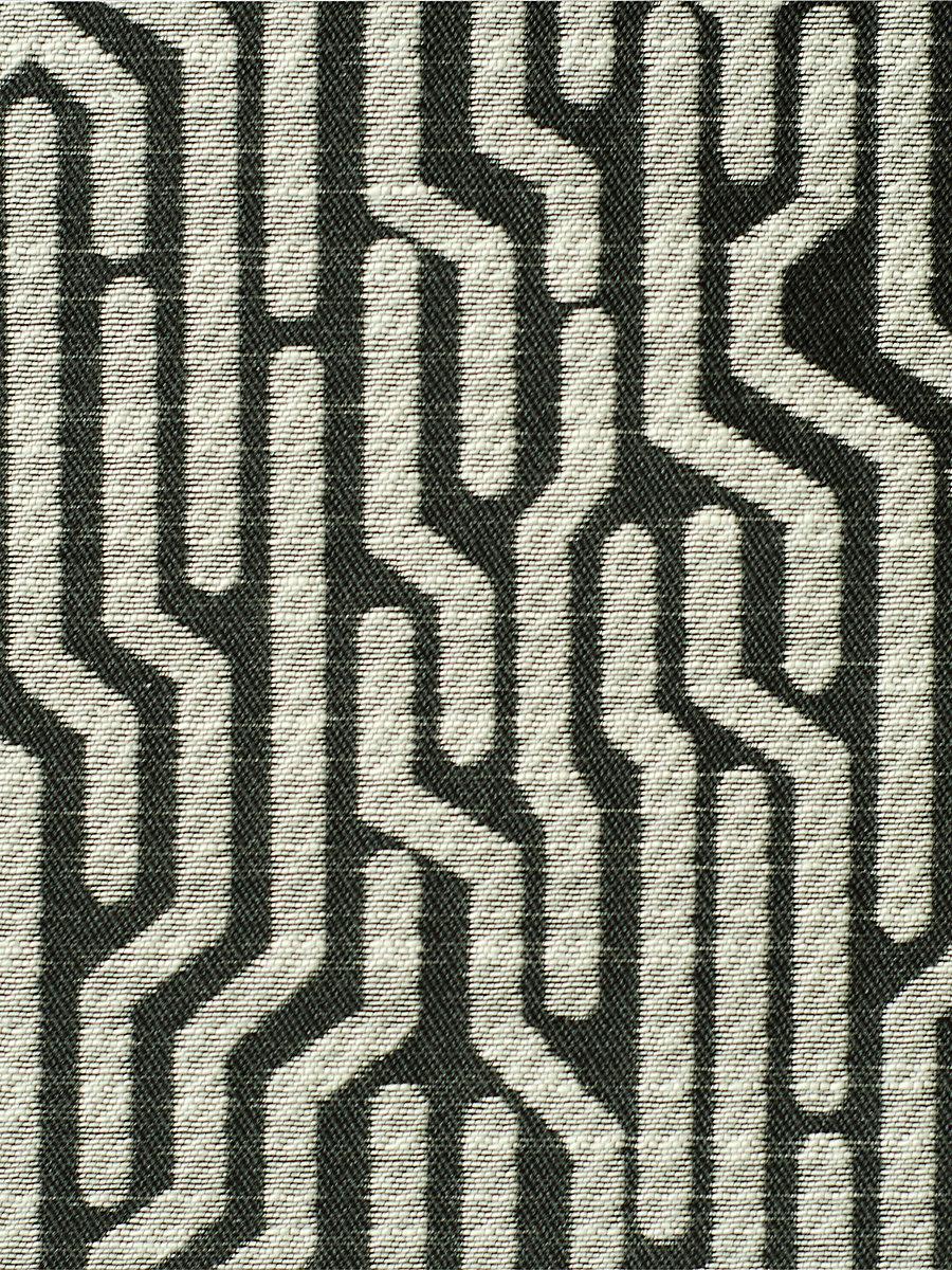 Scalamandre Tweeter Black & White Fabric