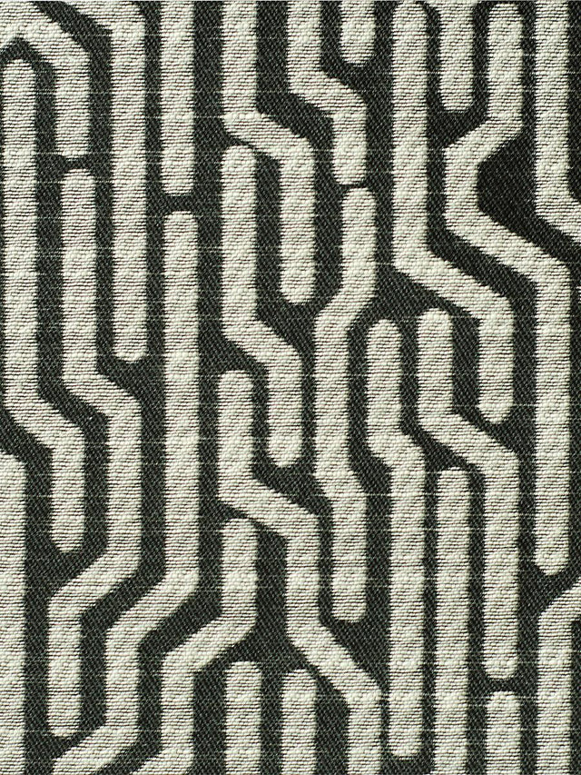 Scalamandre Tweeter Black & White Fabric