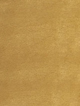 Scalamandre Sucesso | Wide Width Velvet Honey Fabric