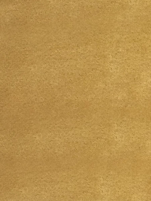 Scalamandre Sucesso | Wide Width Velvet Honey Fabric