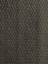 Scalamandre Hoopstar Anthracite Fabric