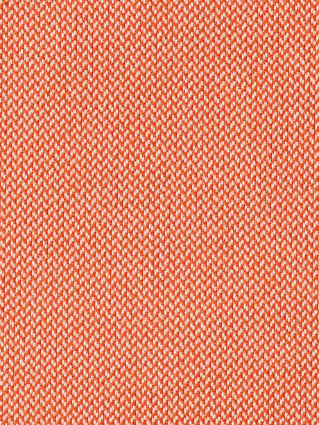 Scalamandre Sonnen|Klar Pumpkin Fabric