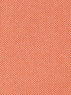 Christian Fischbacher Sonnen-Klar Pumpkin Fabric
