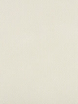 Scalamandre Foggy Lichen Fabric