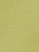 Scalamandre Aramena Avocado Fabric