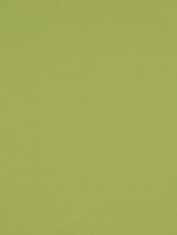 Scalamandre Madrid Cs Iv Lemon Grass Fabric