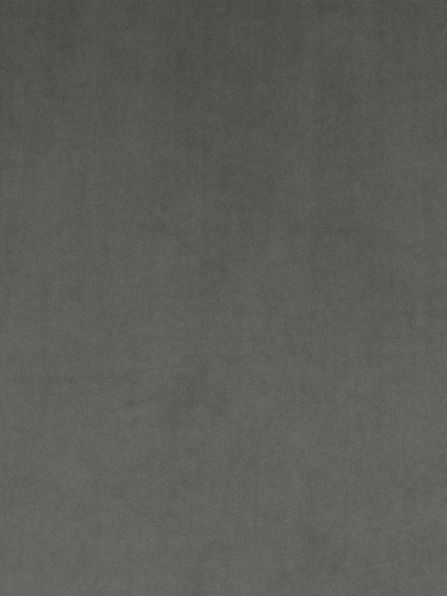 Scalamandre Vip Elephant Fabric