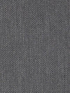 Christian Fischbacher Sonnen-Klar Thunder Gray Fabric