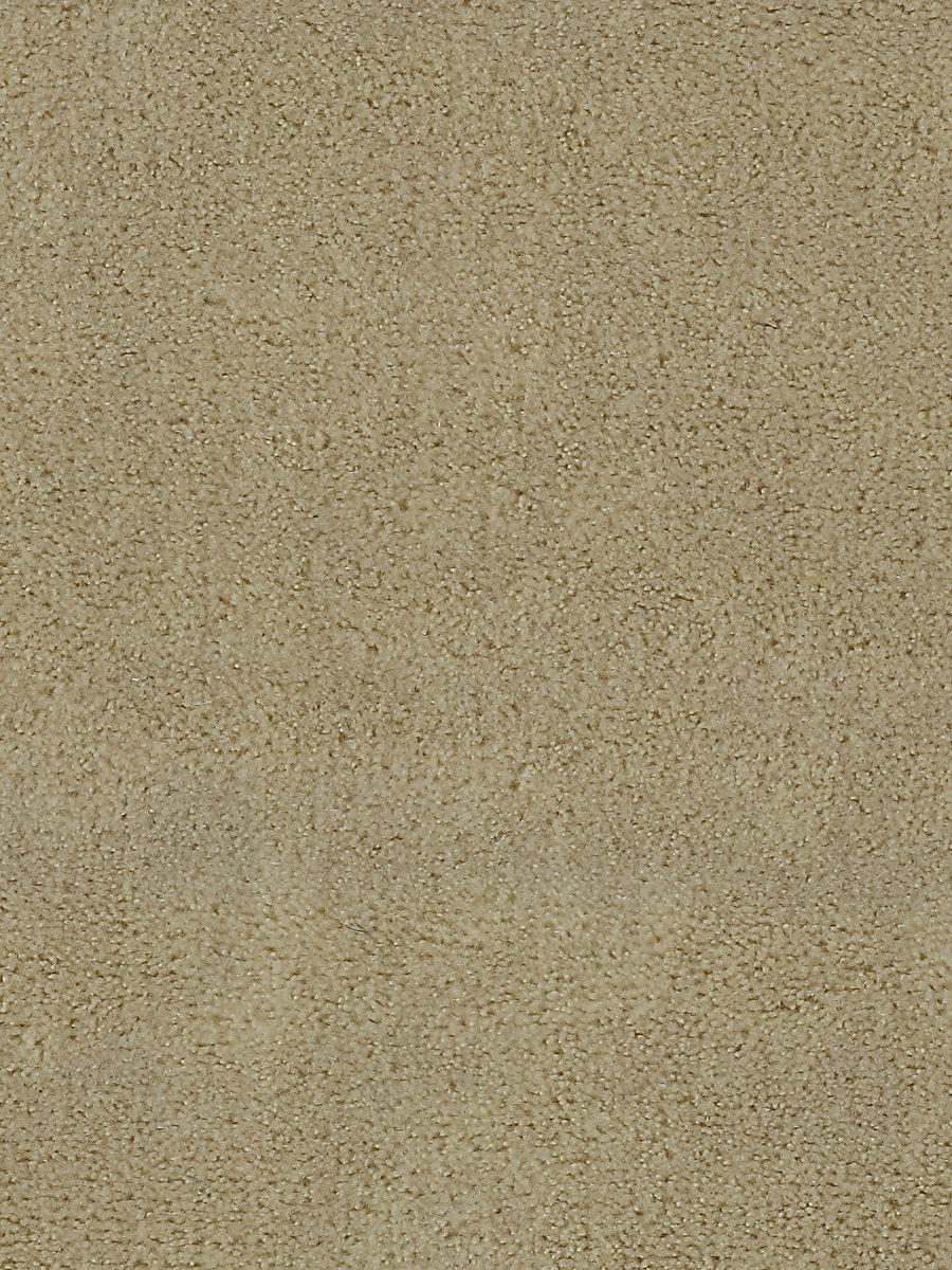 Scalamandre Apollodor Sahara Fabric