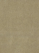 Scalamandre Apollodor Sahara Fabric