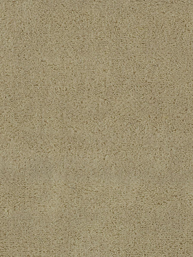 Scalamandre Apollodor Sahara Fabric