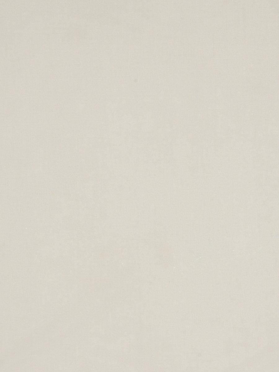 Scalamandre Sonatine Cream Fabric