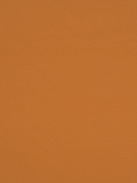 Scalamandre Jamila Ii Clementine Fabric