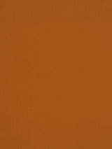 Scalamandre Jamila Ii Pumpkin Fabric