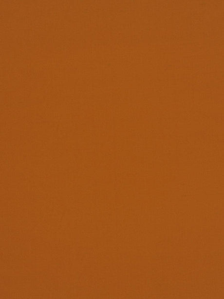 Scalamandre Jamila Ii Pumpkin Fabric