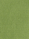 Christian Fischbacher Casalino Grass Drapery Fabric