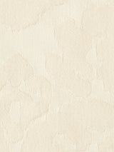 Scalamandre Debut Vellum Fabric