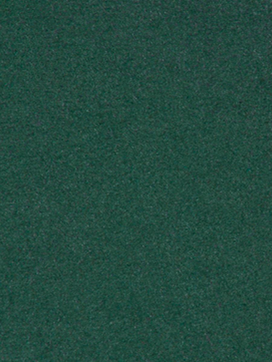 Scalamandre Thara Hunter Green Fabric