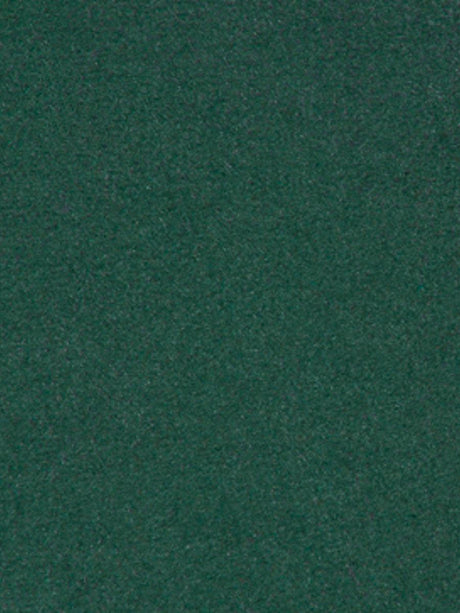 Scalamandre Thara Hunter Green Fabric