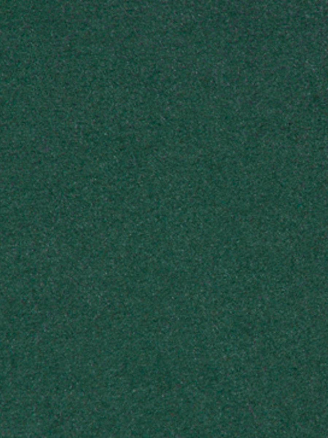 Scalamandre Thara Hunter Green Fabric