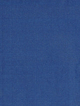 Scalamandre Siam Delft Fabric