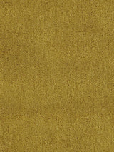 Scalamandre Apollodor Curry Fabric