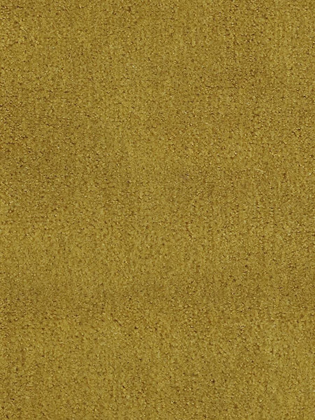 Scalamandre Apollodor Curry Fabric