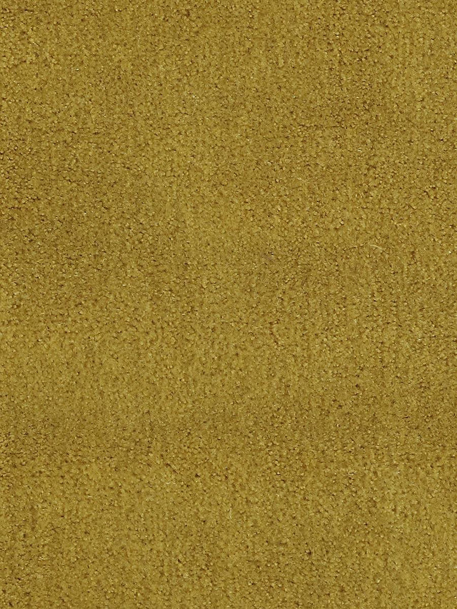 Scalamandre Apollodor Curry Fabric