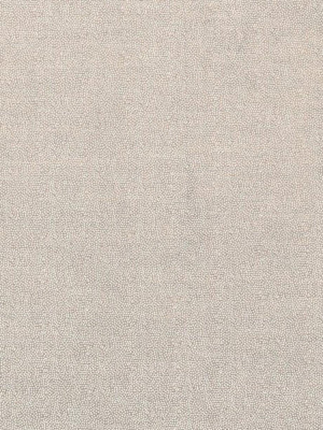 Scalamandre Velvet Ray Sand Fabric