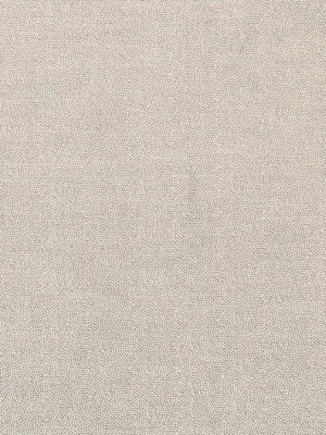 Scalamandre Velvet Ray Sand Fabric