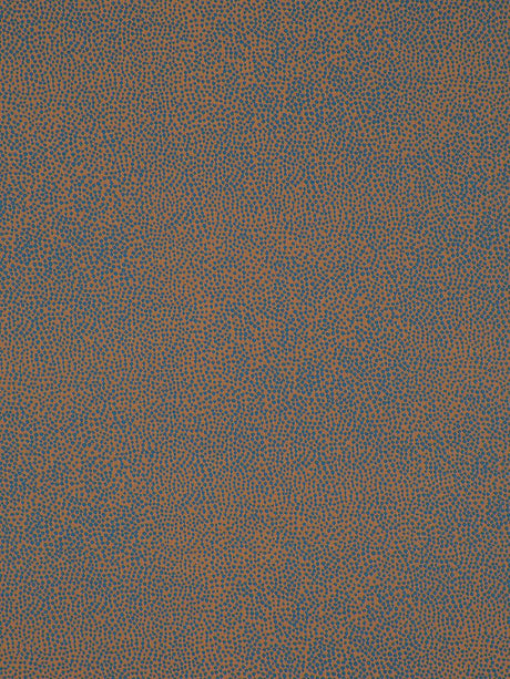 Scalamandre Phoenix Dot Turquoise Fabric