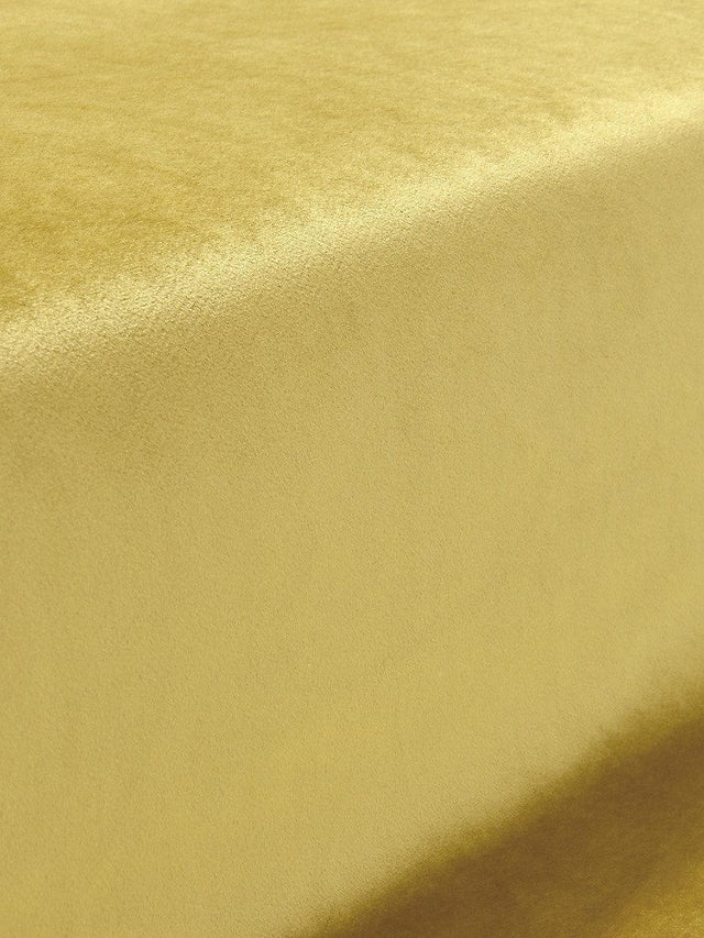 Scalamandre Vitus Chartreuse Fabric