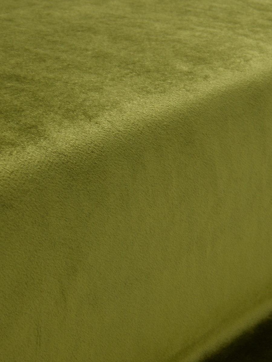 Scalamandre Vitus Fern Fabric