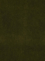 Scalamandre Apollodor Pesto Fabric