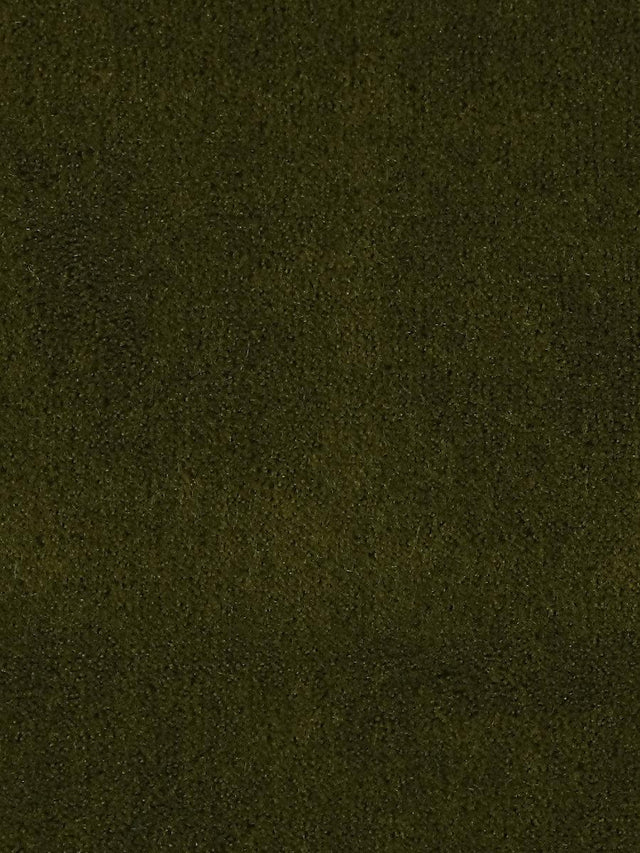 Scalamandre Apollodor Pesto Fabric