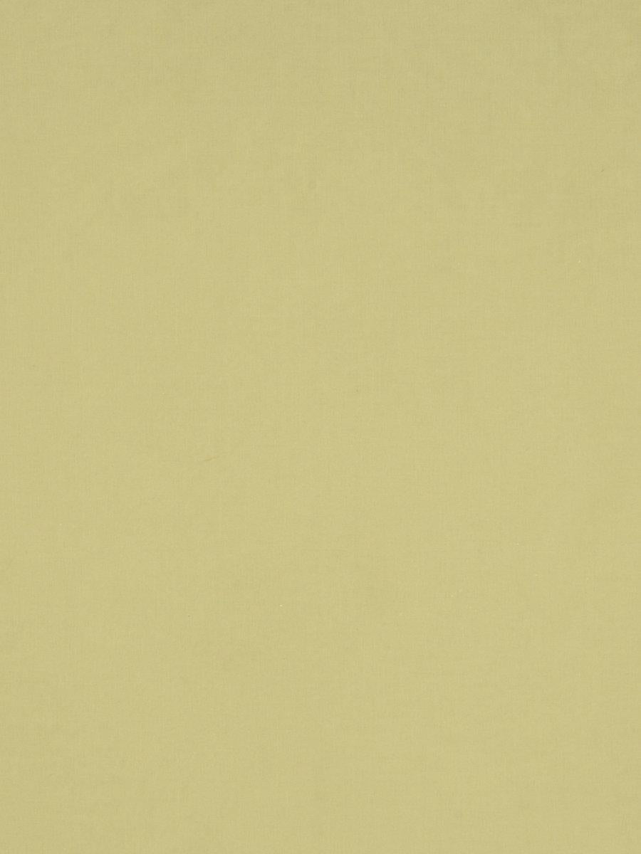 Scalamandre Sonatine Kiwi Fabric