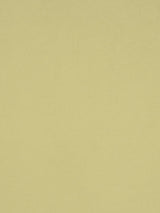 Scalamandre Sonatine Kiwi Fabric