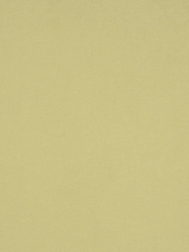 Scalamandre Sonatine Kiwi Fabric