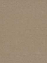 Scalamandre Luna Ii Beige Fabric