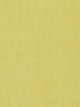Scalamandre Alsara Canary Fabric