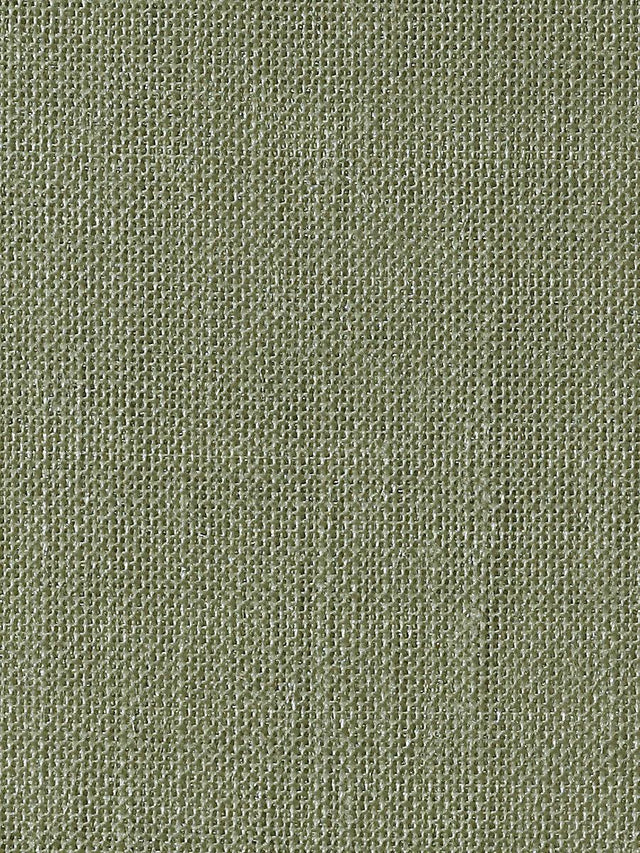 Scalamandre Alsara Nettle Fabric