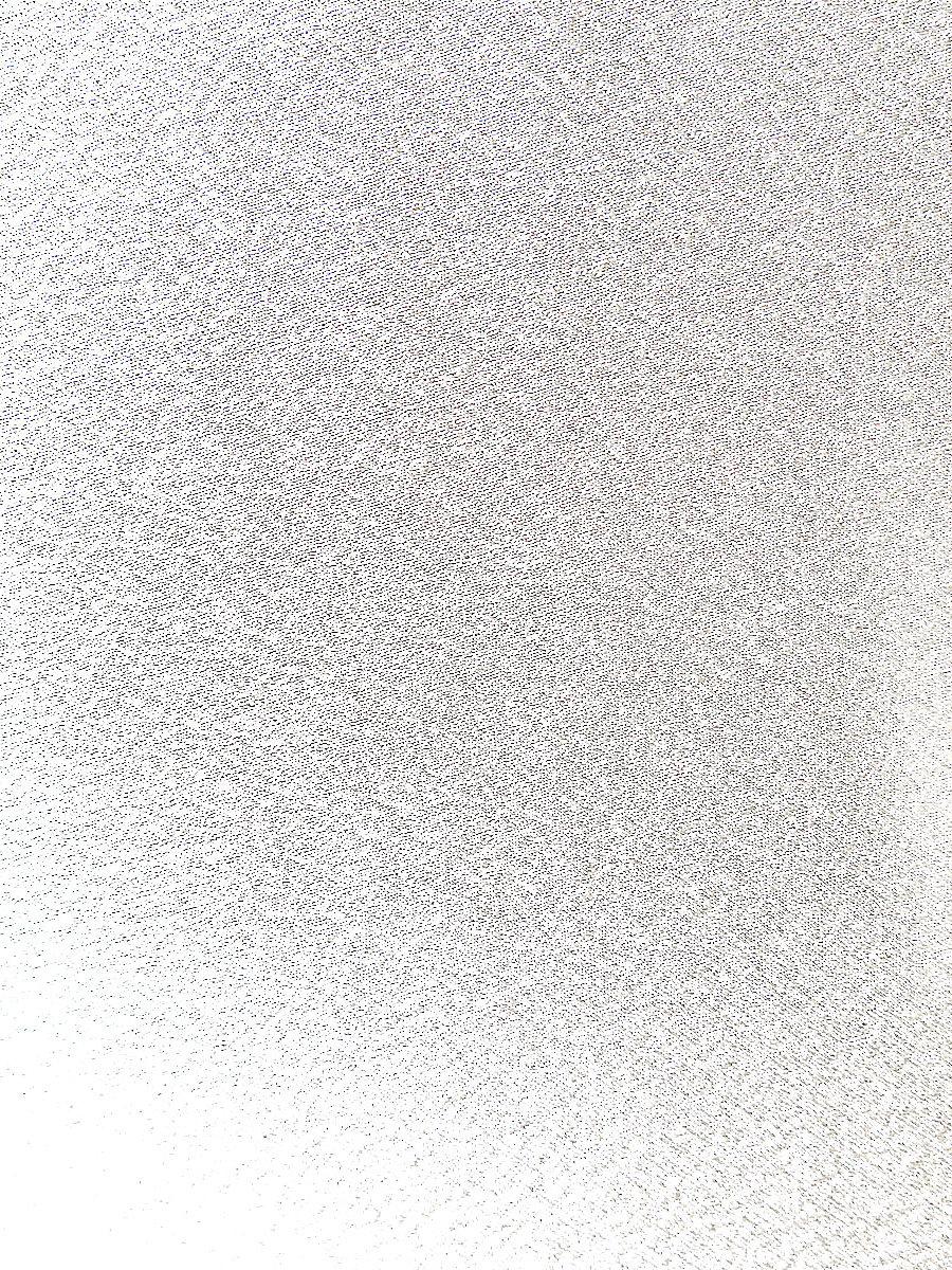 Scalamandre Idra Eggshell Fabric