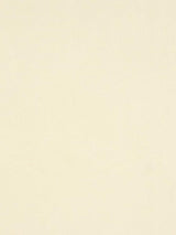 Scalamandre Absolut Cream Fabric