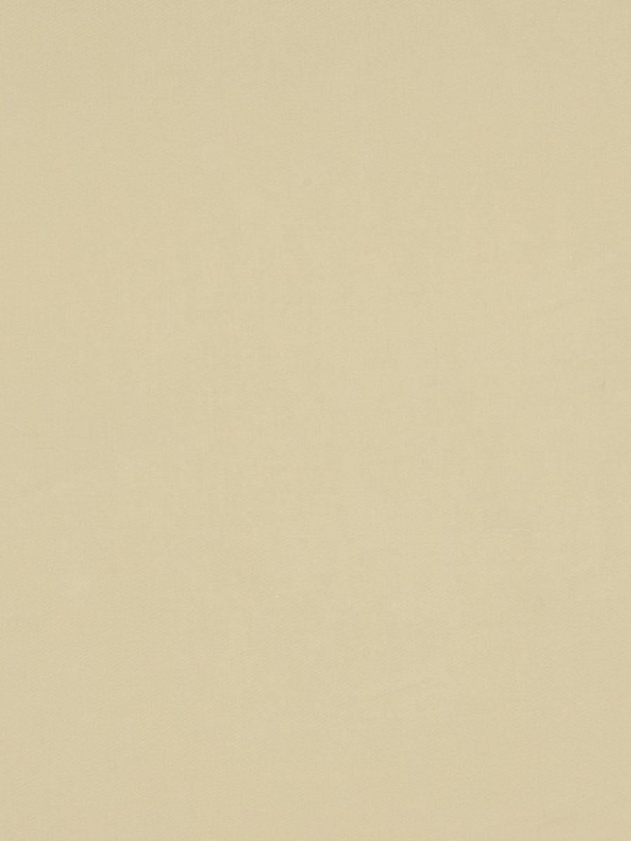 Scalamandre Absolut Tan Fabric