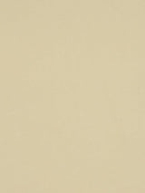 Scalamandre Absolut Tan Fabric