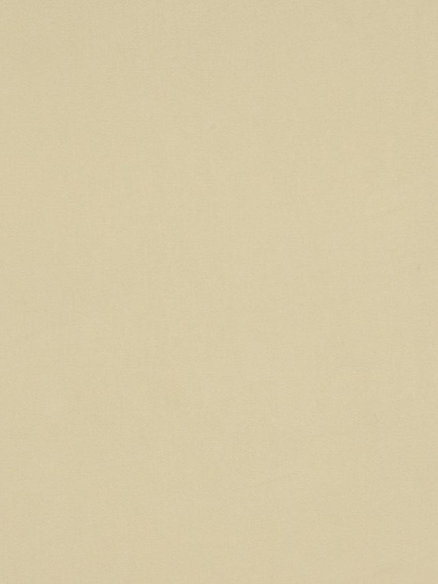 Scalamandre Absolut Tan Fabric