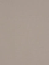 Scalamandre Absolut Taupe Fabric